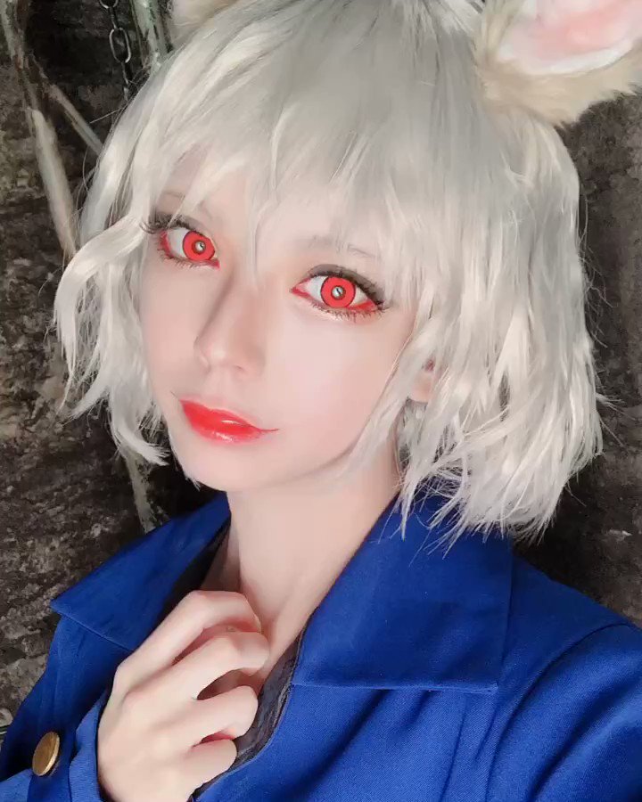🐈