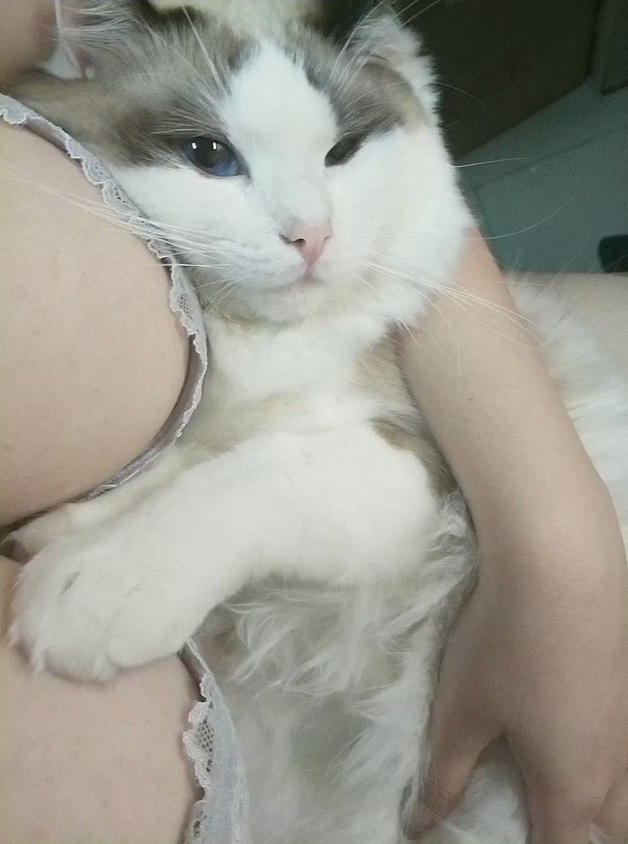 好久没发过视频了