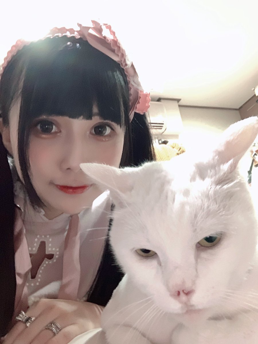 ネコ