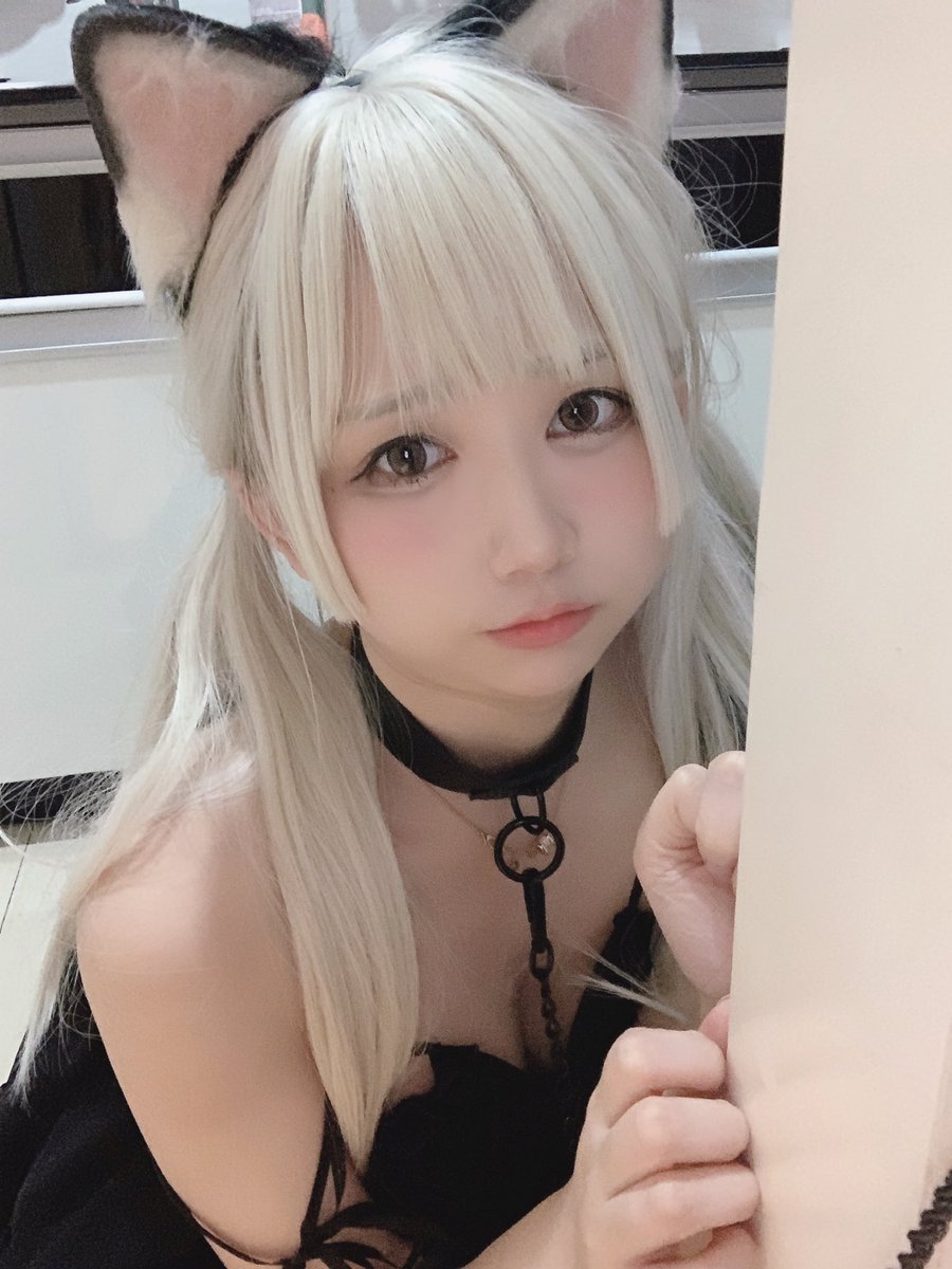 小猫咪不需要主人的疼爱