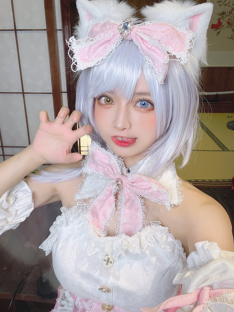 これなに、これなに、これなに
ーーねこ！！