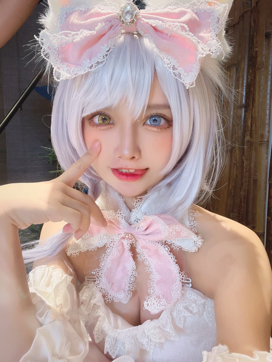 猫もっともっと🐈