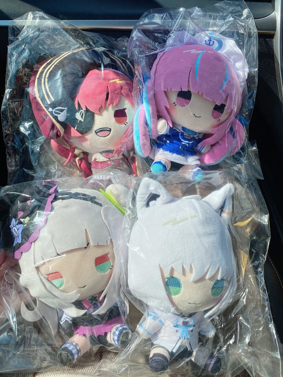 ドンキのホロライブもちどる無事にGETできました〜！！㊗️🥰🎉✨
早起きしてよかった🥲🥲
お嬢だけ1体しかなくて買えなかった無念……😭💦