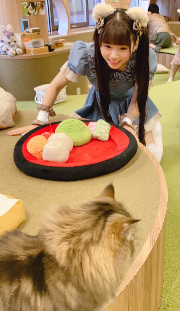 僕と猫。1日店長
ありがとうございました！！🍡

まったり平和な時間が流れる空間で
あっという間の3時間だったな☺️