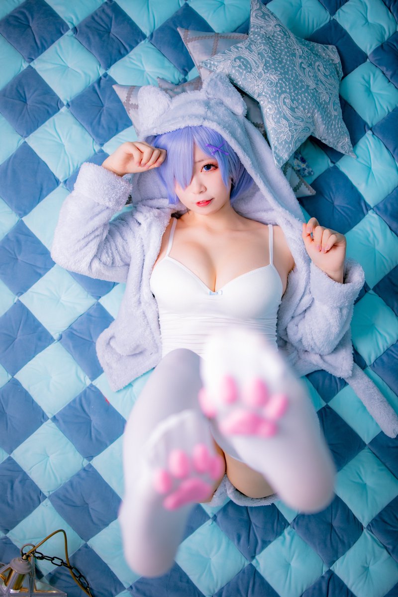 肉球好き？💙💗

📸@photodi_ode ハンチョさん